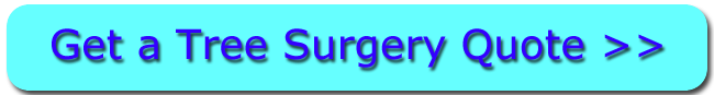 Click For Tree Surgery Estimates in the Culcheth Area