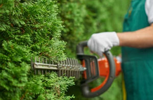 Hedge Trimming Eccleshall
