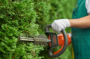 Hedge Trimming Coatbridge