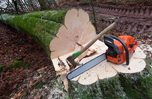 Tree Removal Redruth