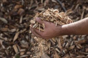 Wood Chipping Blackpool