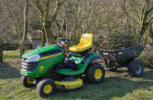 Woodland Clearance Nailsea (BS48)